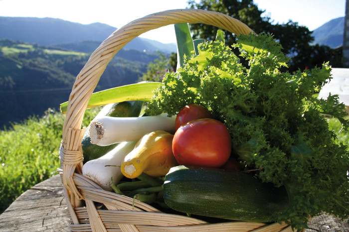 Farmer’s market